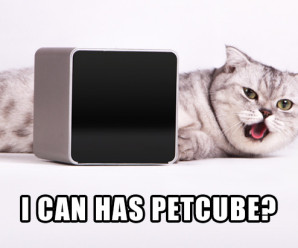 petcube